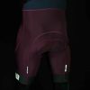 Men Biehler | Thermal Rain Bib Shorts Dark Berry